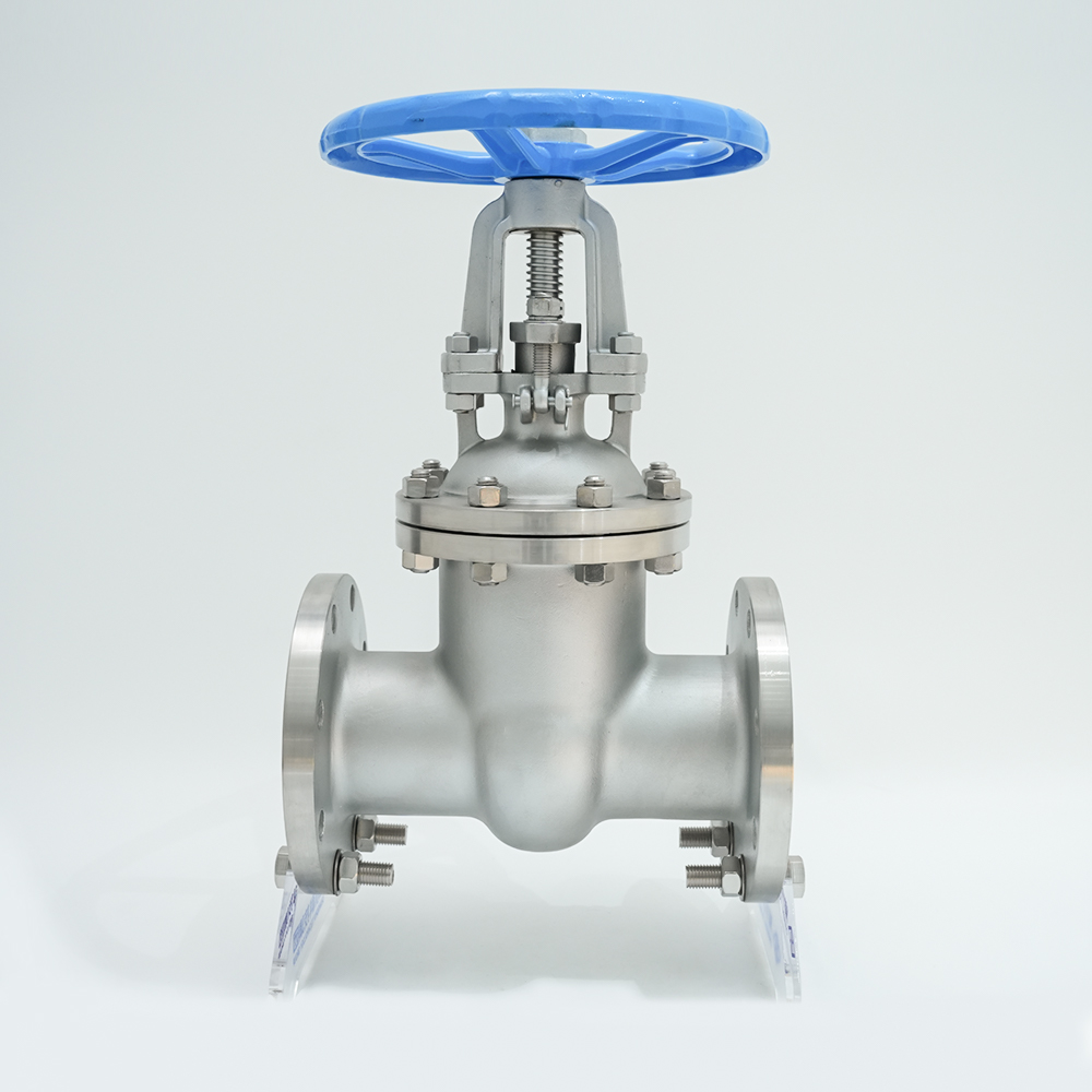 Vanne à bride en acier inoxydable Z41W-16P