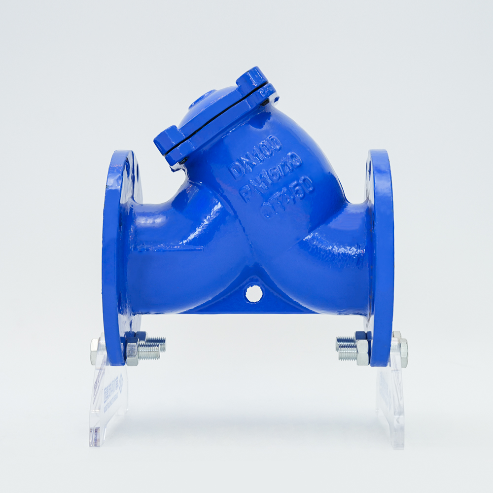 Filtre de type Y en fonte GL41H-16Q