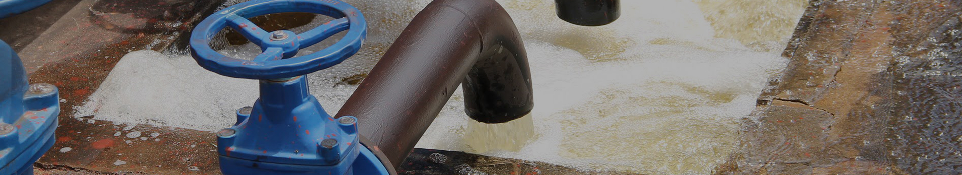 Groupe technologique Cie., Ltd de Changshui.